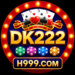 DK222 Game